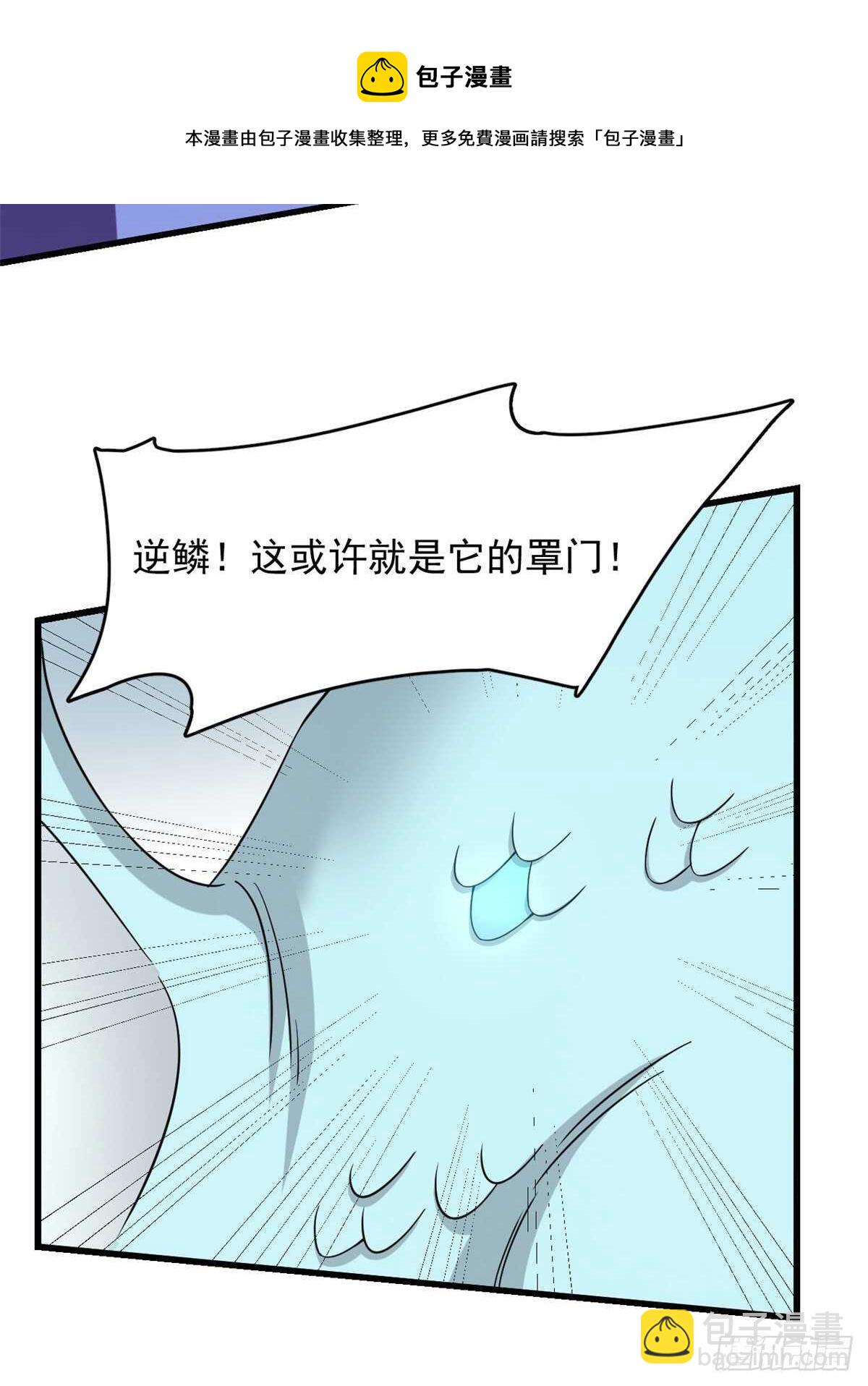 毒步天下：特工神醫小獸妃 - 第225話(1/2) - 5