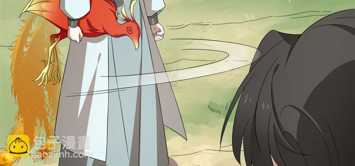 毒步天下：特工神醫小獸妃 - 第265話(1/3) - 8