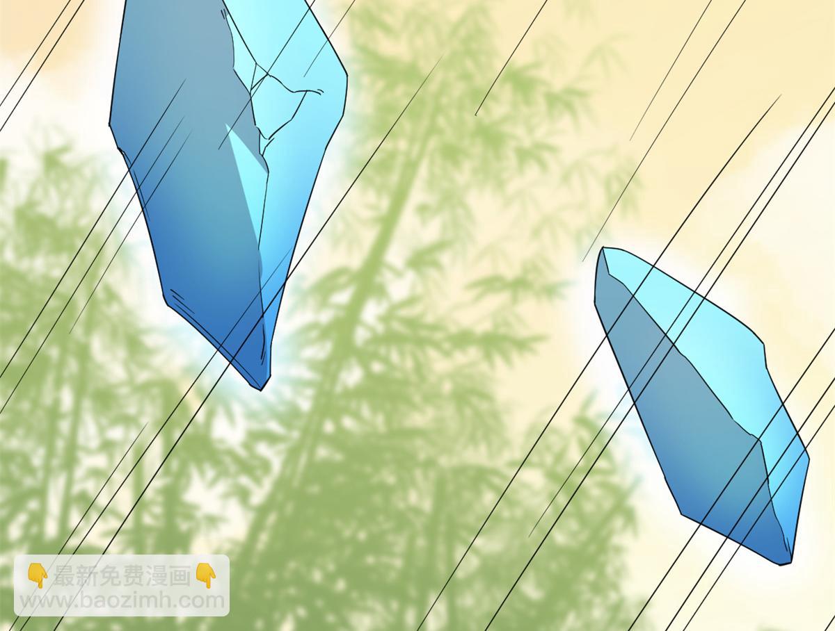 毒步天下：特工神醫小獸妃 - 第273話(1/3) - 3