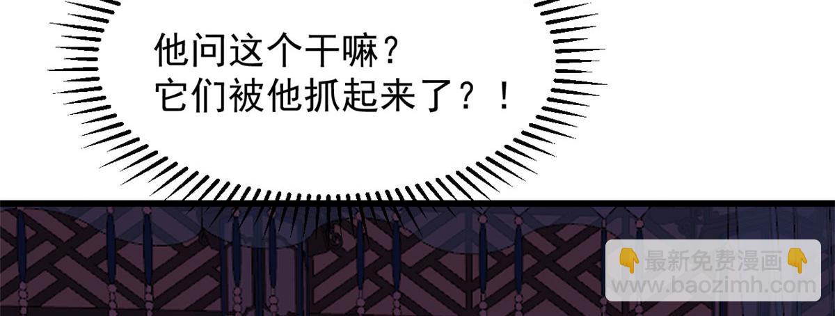 毒步天下：特工神醫小獸妃 - 第277話(2/2) - 8