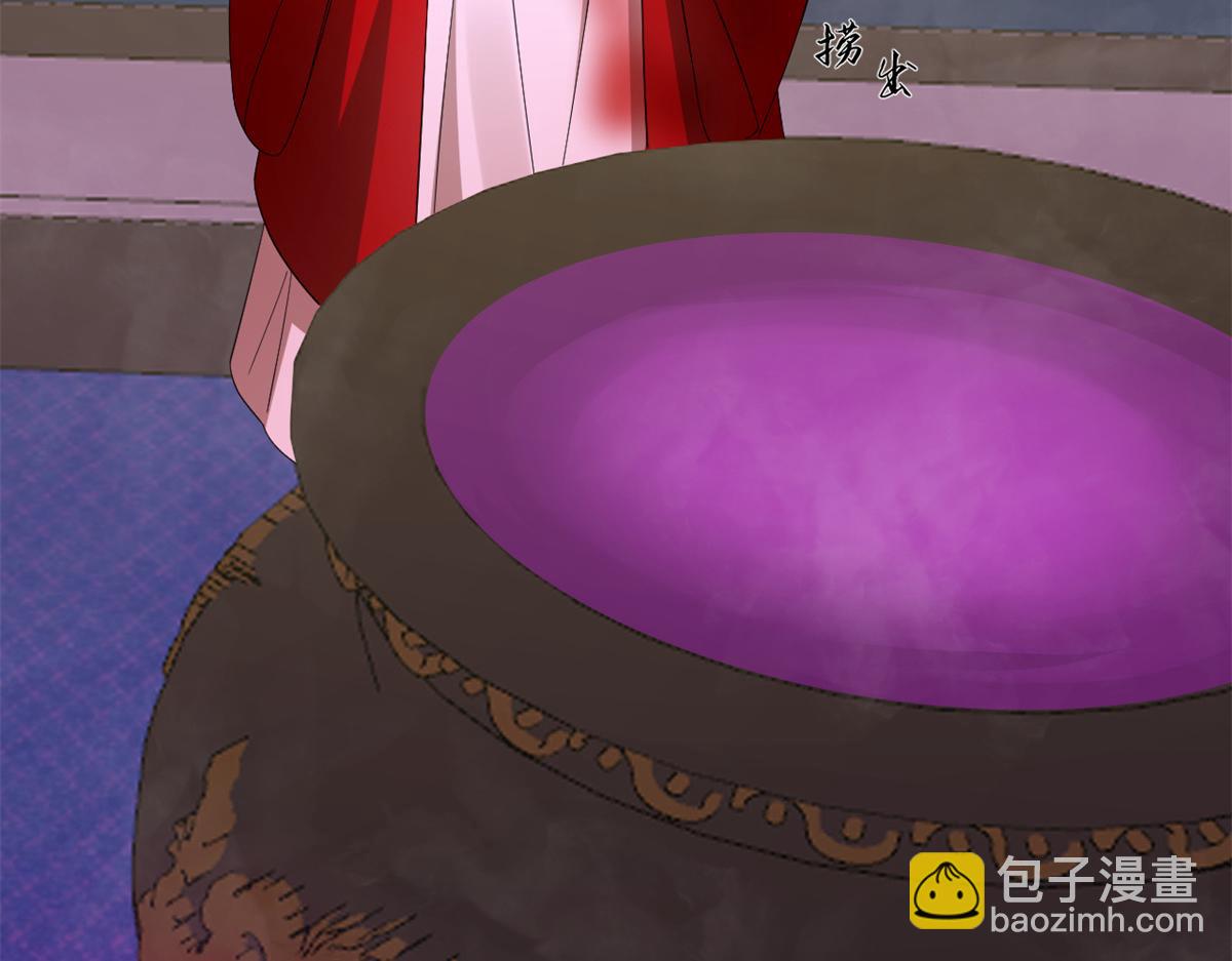 毒步天下：特工神醫小獸妃 - 第279話(3/3) - 6