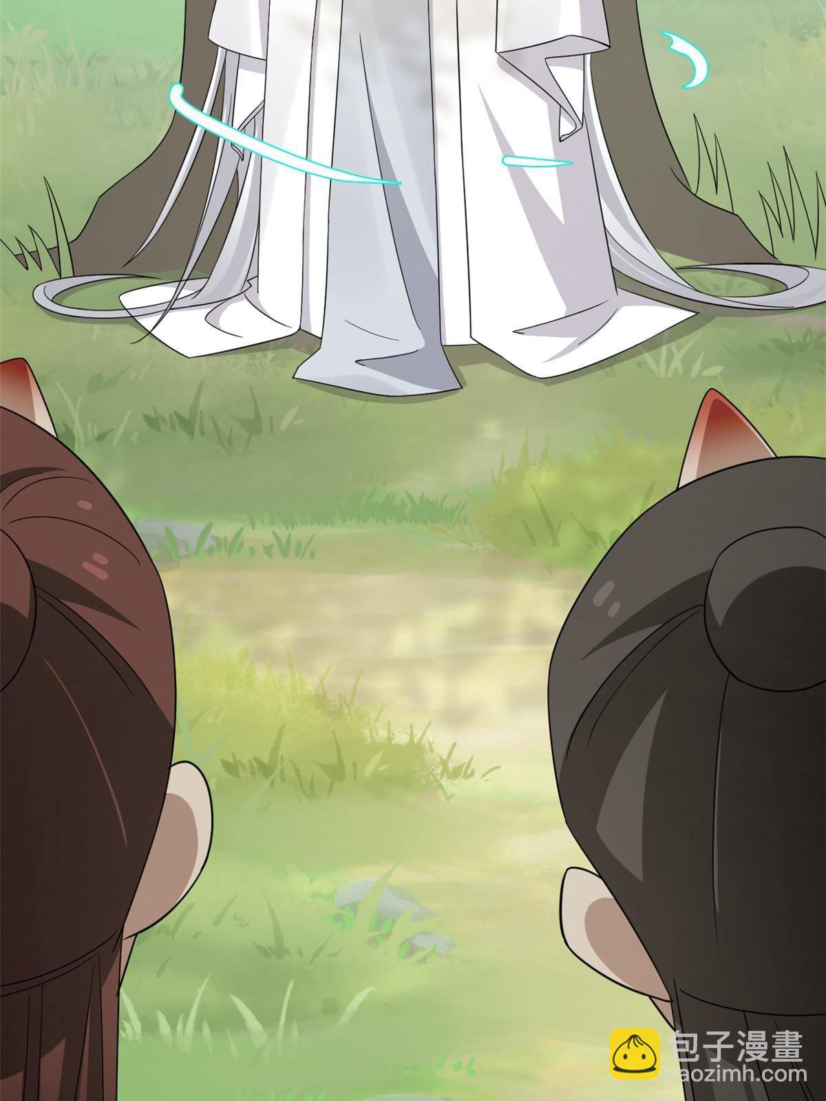 毒步天下：特工神醫小獸妃 - 329 - 4