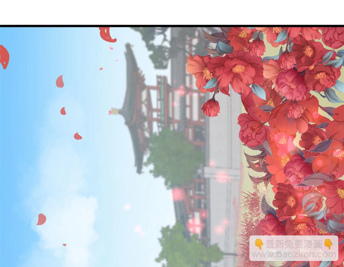 毒步天下：特工神醫小獸妃 - 343(3/3) - 6