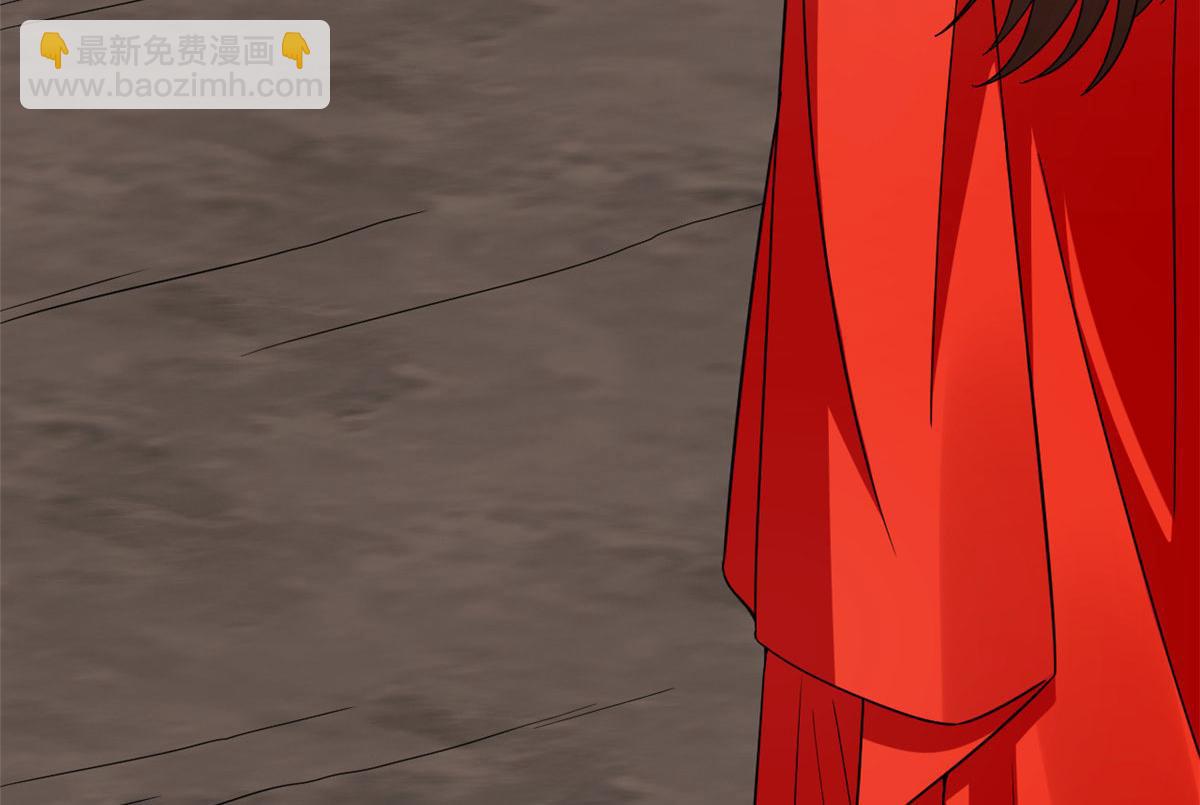 毒步天下：特工神醫小獸妃 - 371(1/2) - 6