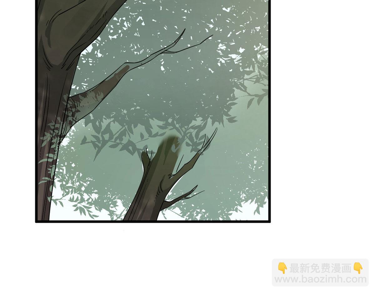 毒步天下：特工神醫小獸妃 - 381(2/2) - 5