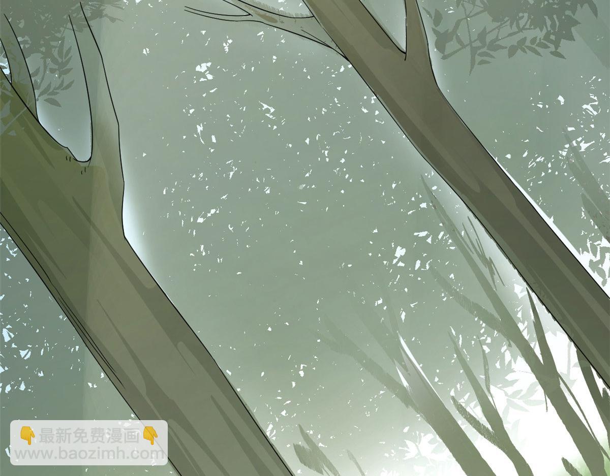 毒步天下：特工神醫小獸妃 - 381(2/2) - 5