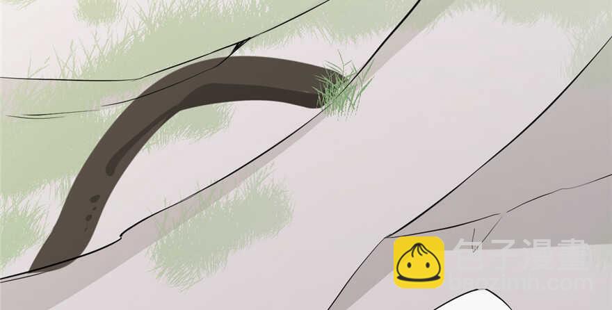 毒步天下：特工神醫小獸妃 - 第43話(1/2) - 3