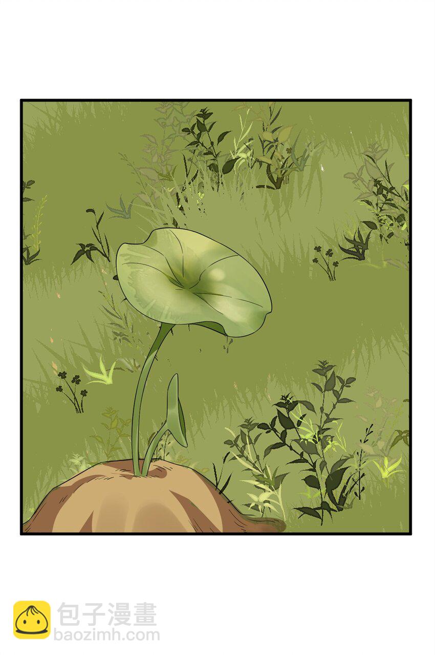 毒步天下：特工神醫小獸妃 - 435 435 - 5