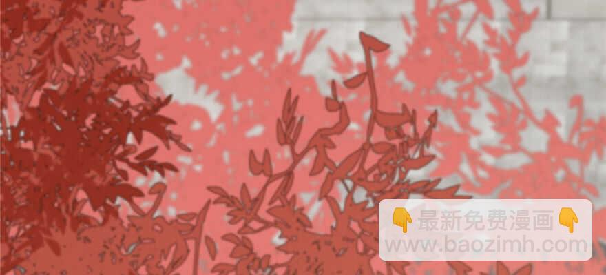 毒步天下：特工神醫小獸妃 - 第87話(1/3) - 3