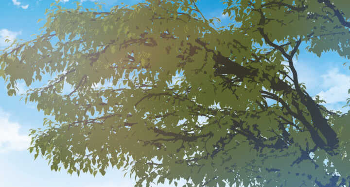 47话 你竟然还是....(1/2)-第47话