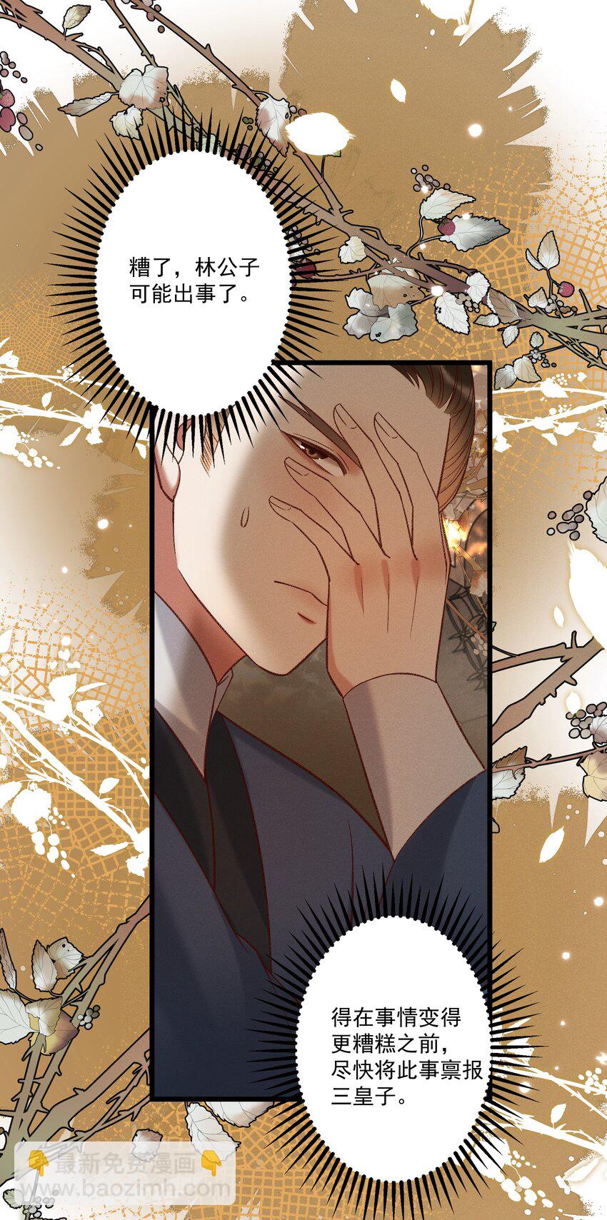 027 林公子不见啦！-第29话