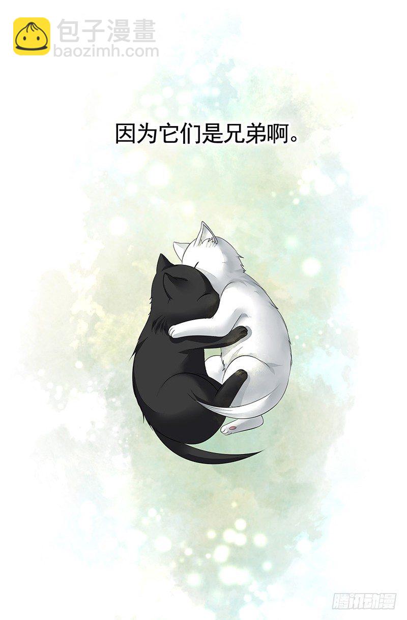 真拿你这只小猫咪没法子-第17话