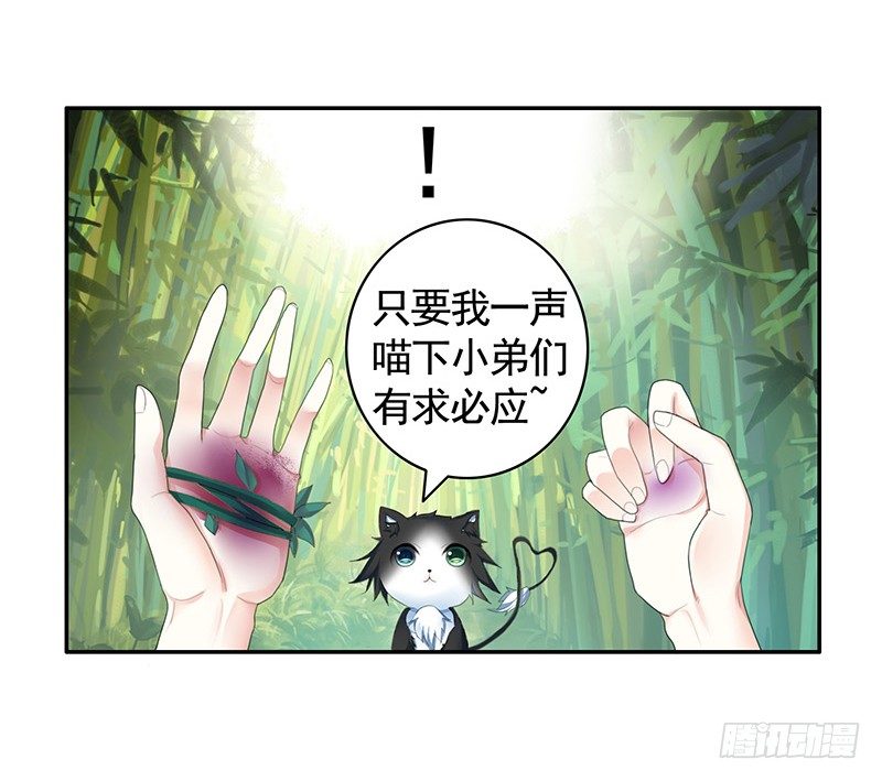 欠了猫情是要还的-第21话