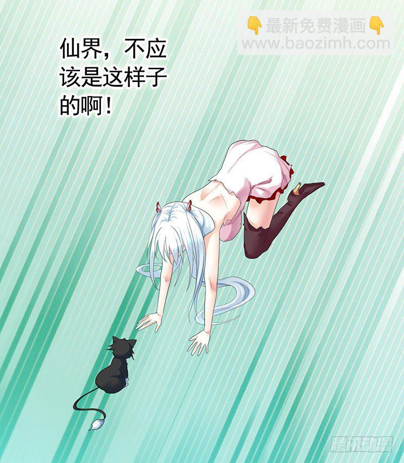 欠了猫情是要还的-第21话