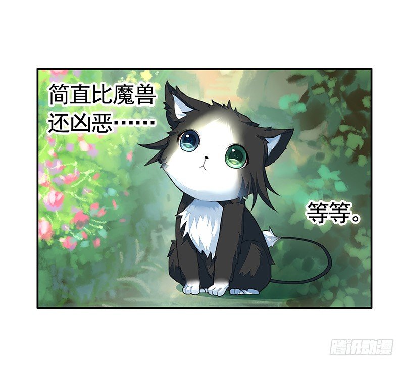 欠了猫情是要还的-第21话