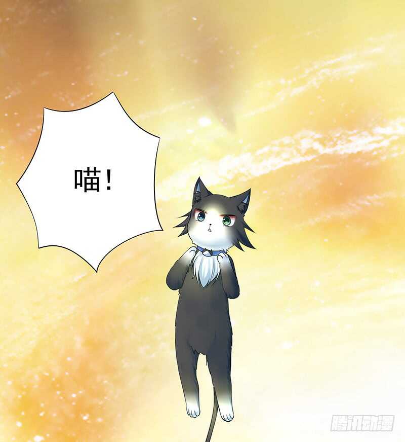 老婆看我帅不帅(1/2)-第43话