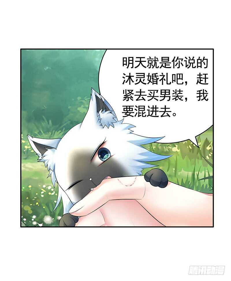 把你摸得喵喵叫(1/2)-第49话