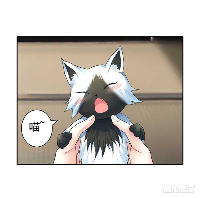 把你摸得喵喵叫(1/2)-第49话