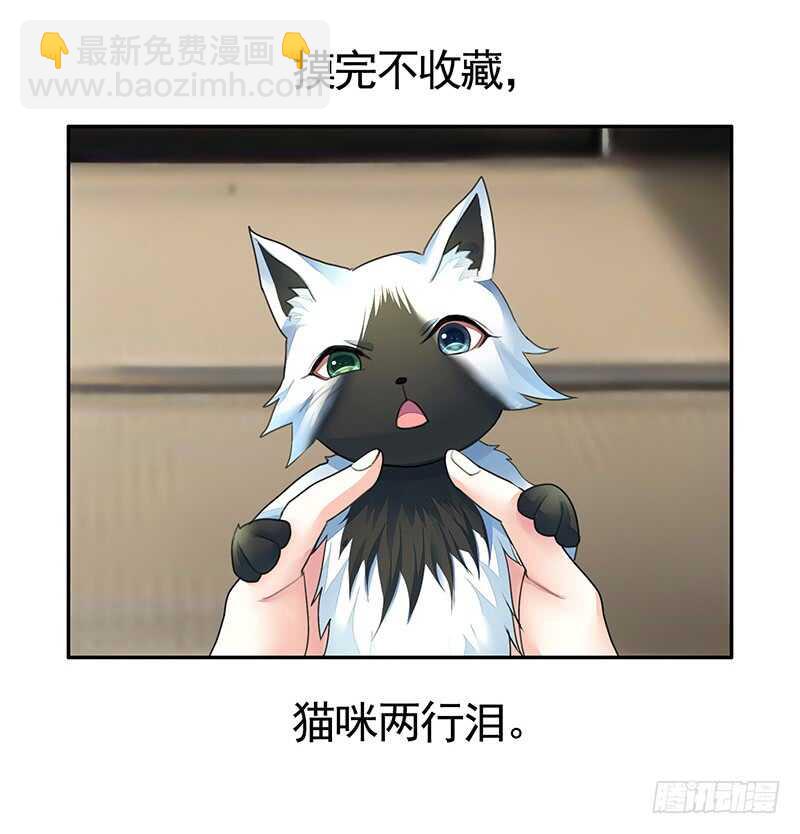 把你摸得喵喵叫(1/2)-第49话