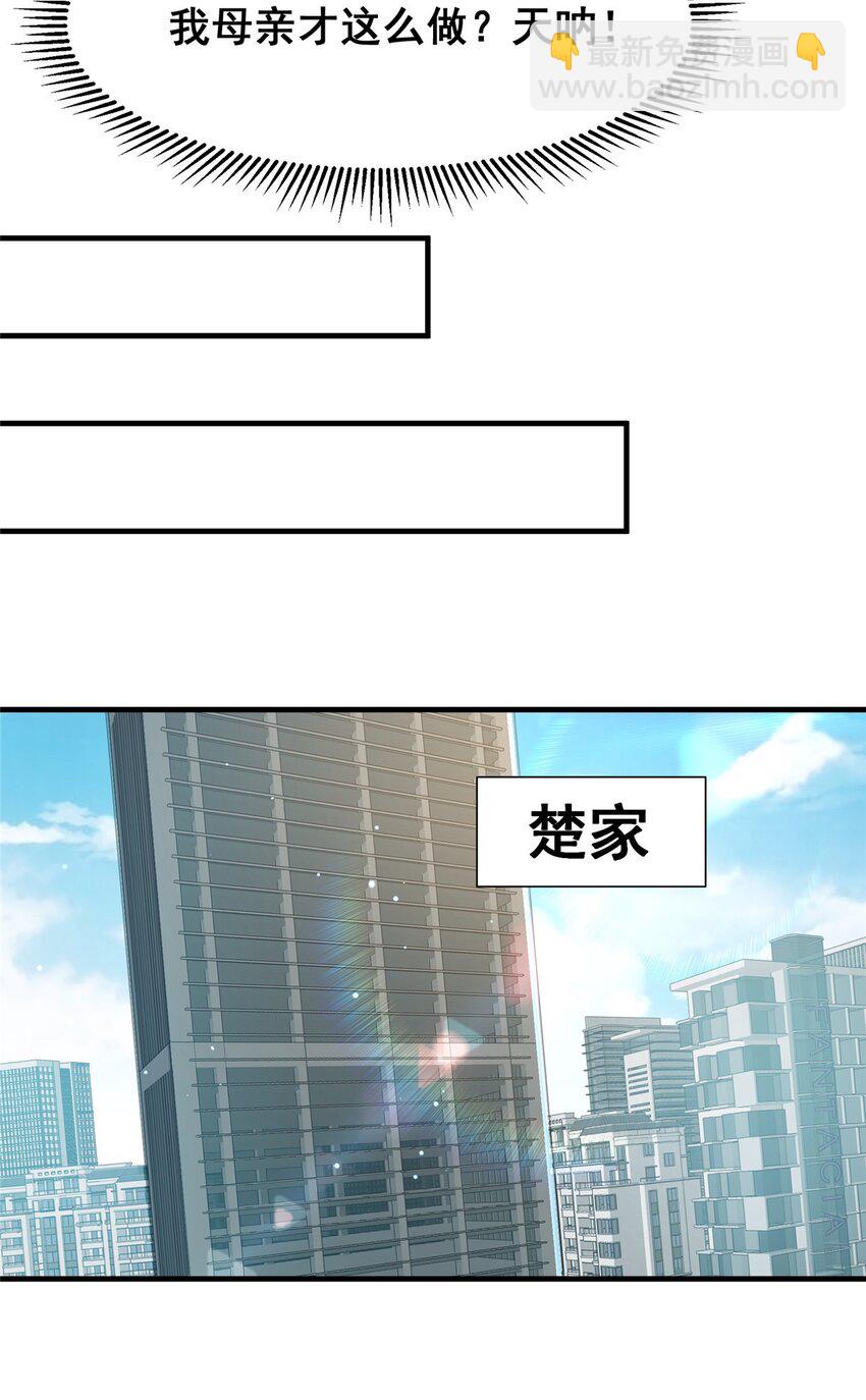 054 法人叶辰(1/2)-第55话