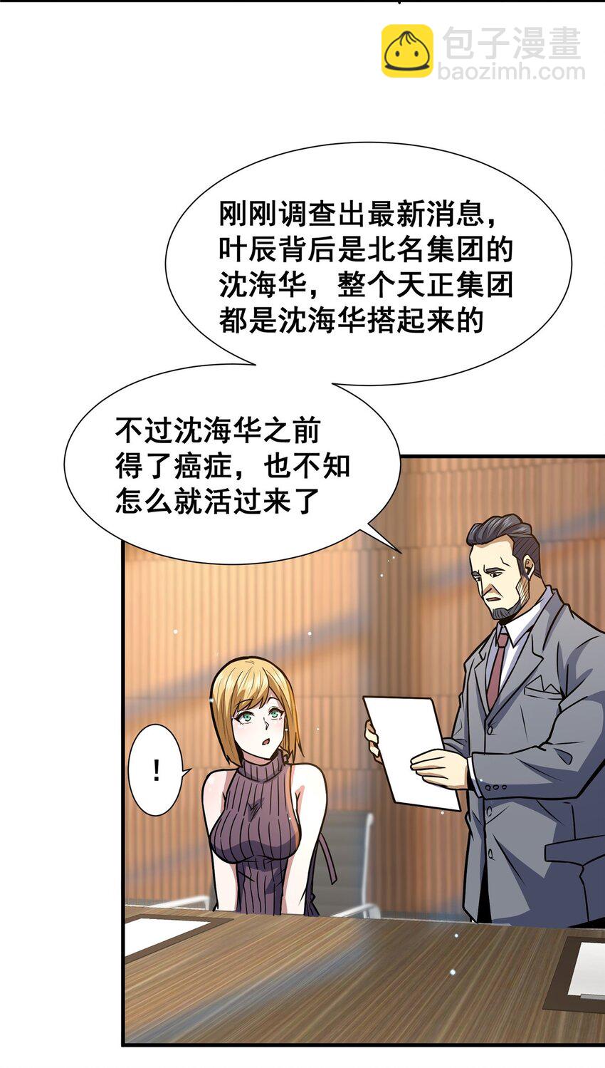 054 法人叶辰(1/2)-第55话