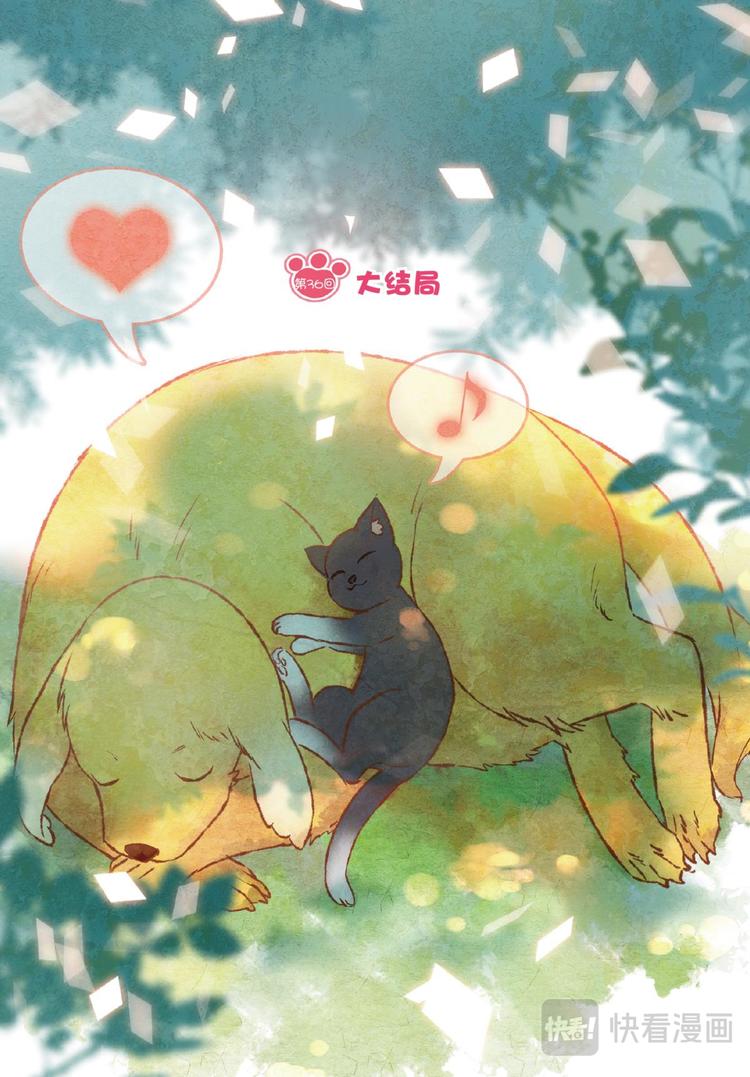 36大结局（上）-第71话