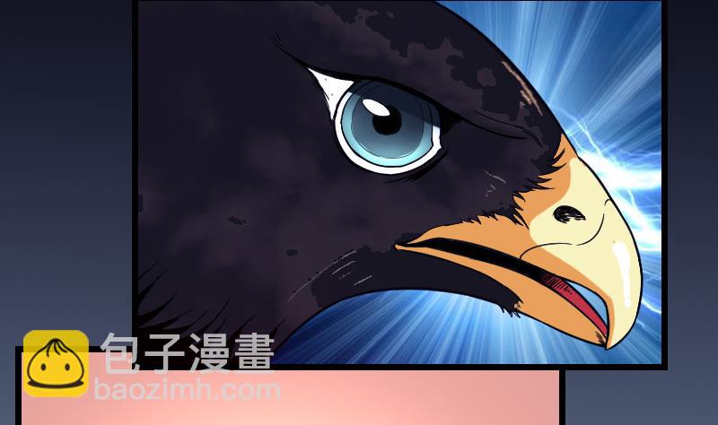 都市神豪系統 - 第137話 猛禽(1/2) - 2