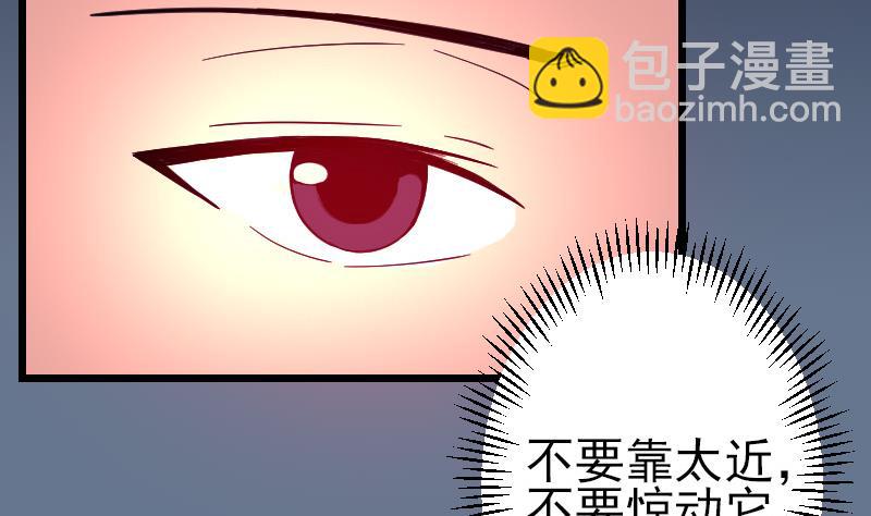 都市神豪系統 - 第137話 猛禽(1/2) - 3