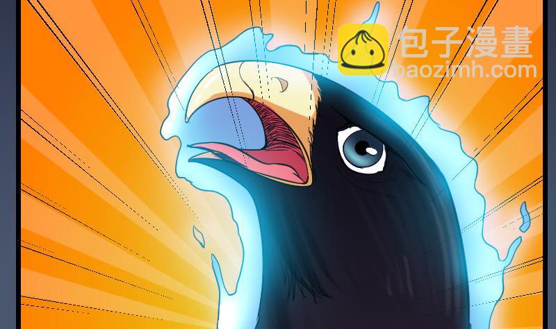 都市神豪系統 - 第137話 猛禽(1/2) - 4