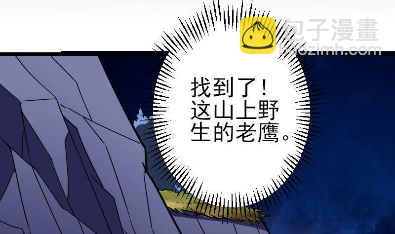 都市神豪系統 - 第137話 猛禽(1/2) - 5