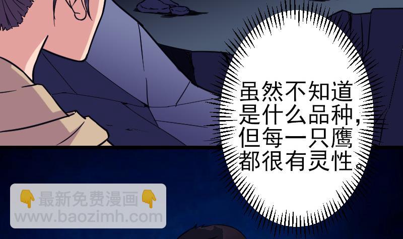 都市神豪系統 - 第137話 猛禽(1/2) - 7