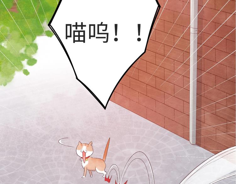 第8话  不要爱上我(1/5)-第9话