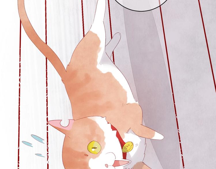 第8话  不要爱上我(1/5)-第9话