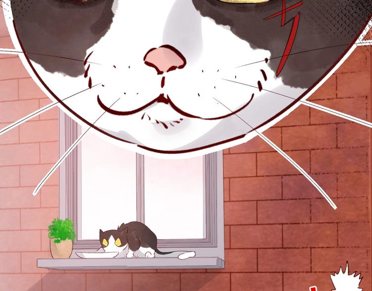 第8话  不要爱上我(1/5)-第9话