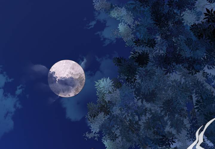 #2 雾锁迷城 第1话(1/2)-第7话