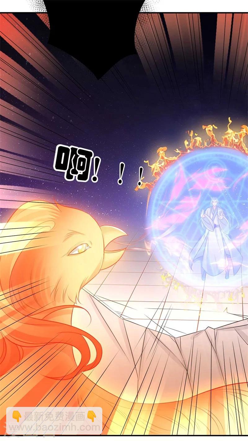 第74话 不死鸟-第75话