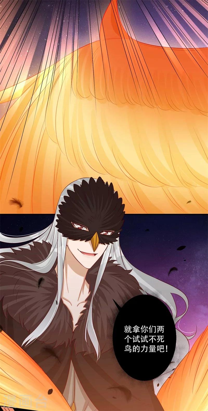 第74话 不死鸟-第75话