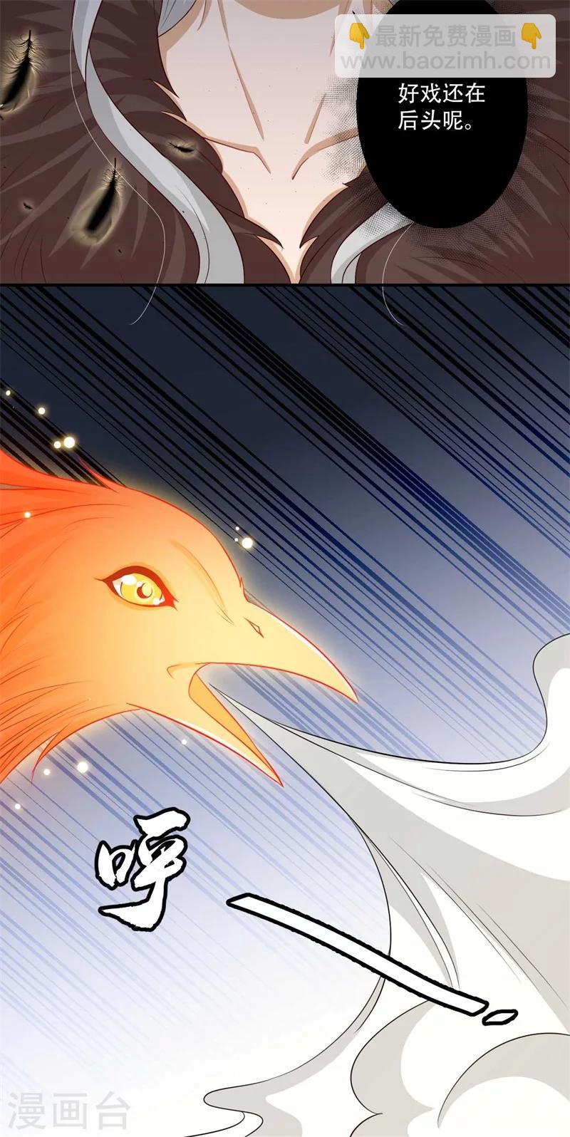 第74话 不死鸟-第75话