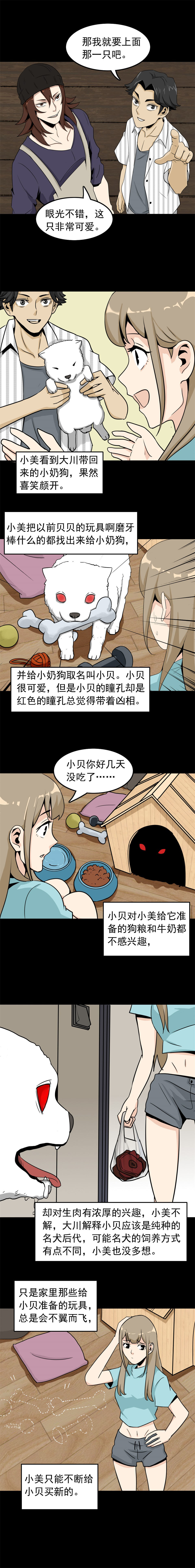 宠物 第1话-第17话