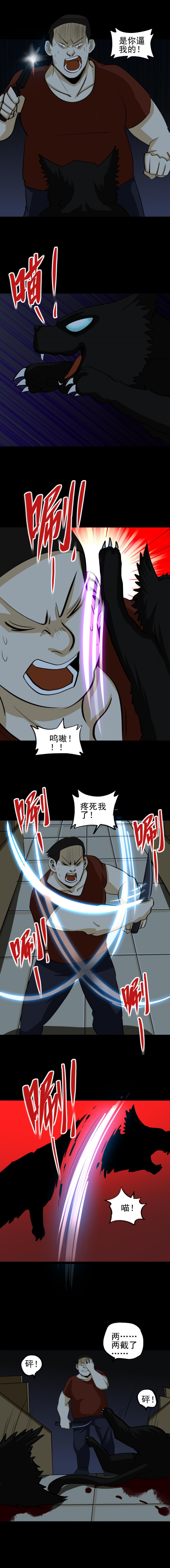 猫咒 第2话-第39话