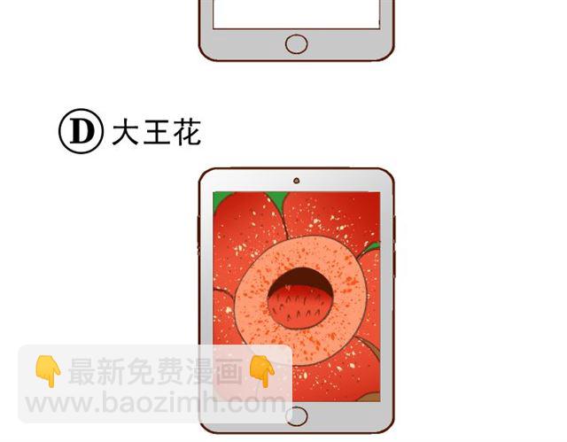 第214.5话 休刊话(1/2)-第33话