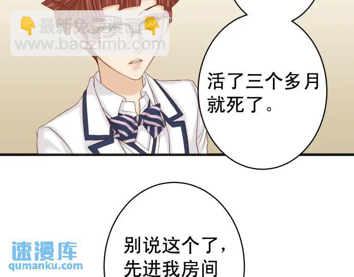 第346话 探寻(1/3)-第251话