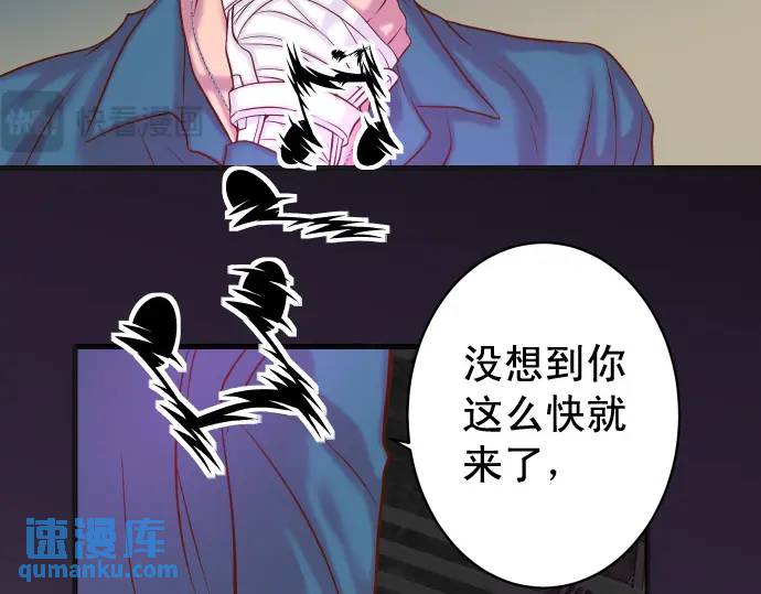 第365话 猎场(1/3)-第263话