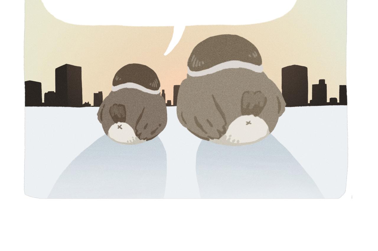 中秋节前一天，老爸离家出走了(1/2)-第19话