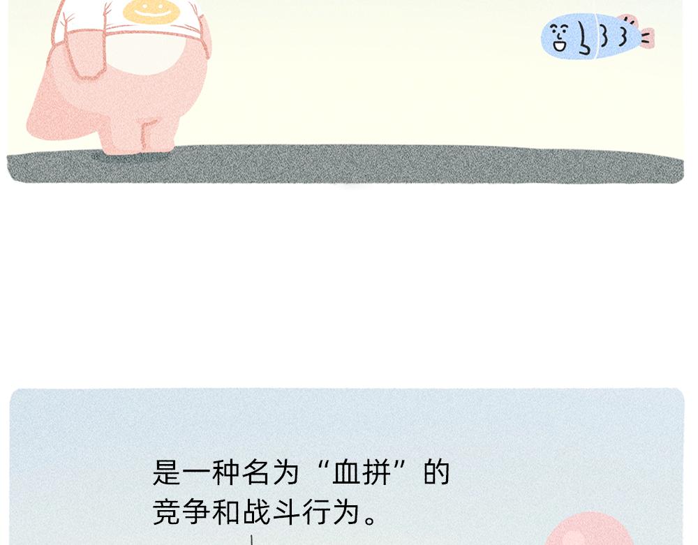 送你一份终极购物省钱指南(1/2)-第23话