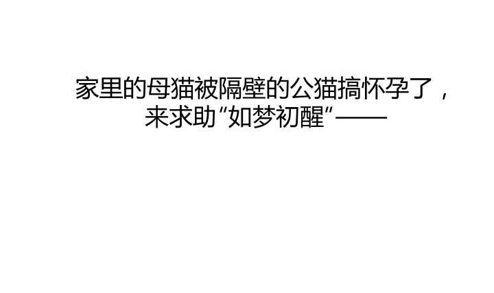 54话 家暴男友出现？(1/3)-第55话