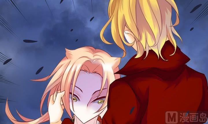 第47话 猫的报恩与死亡-第47话