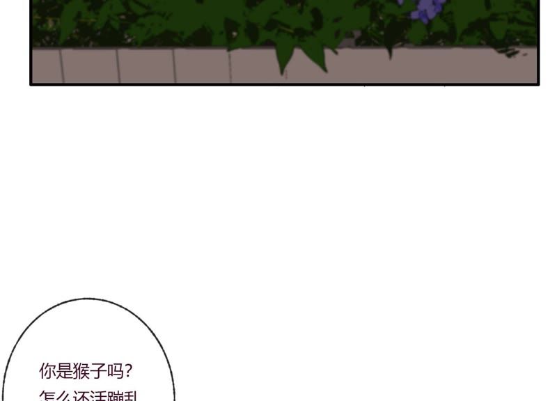 第32话 终于有总裁要养我了？(1/3)-第33话