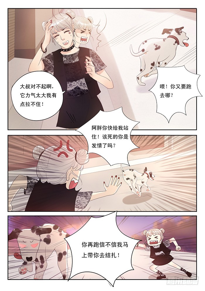 1.此处恶犬出没（上）-第1话