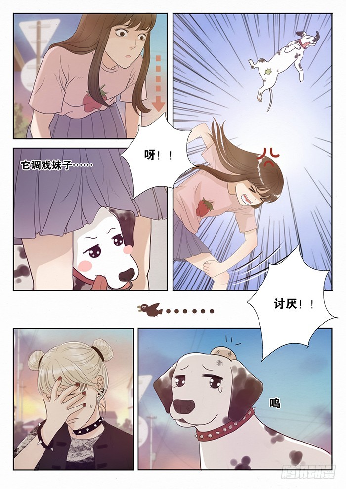 1.此处恶犬出没（上）-第1话